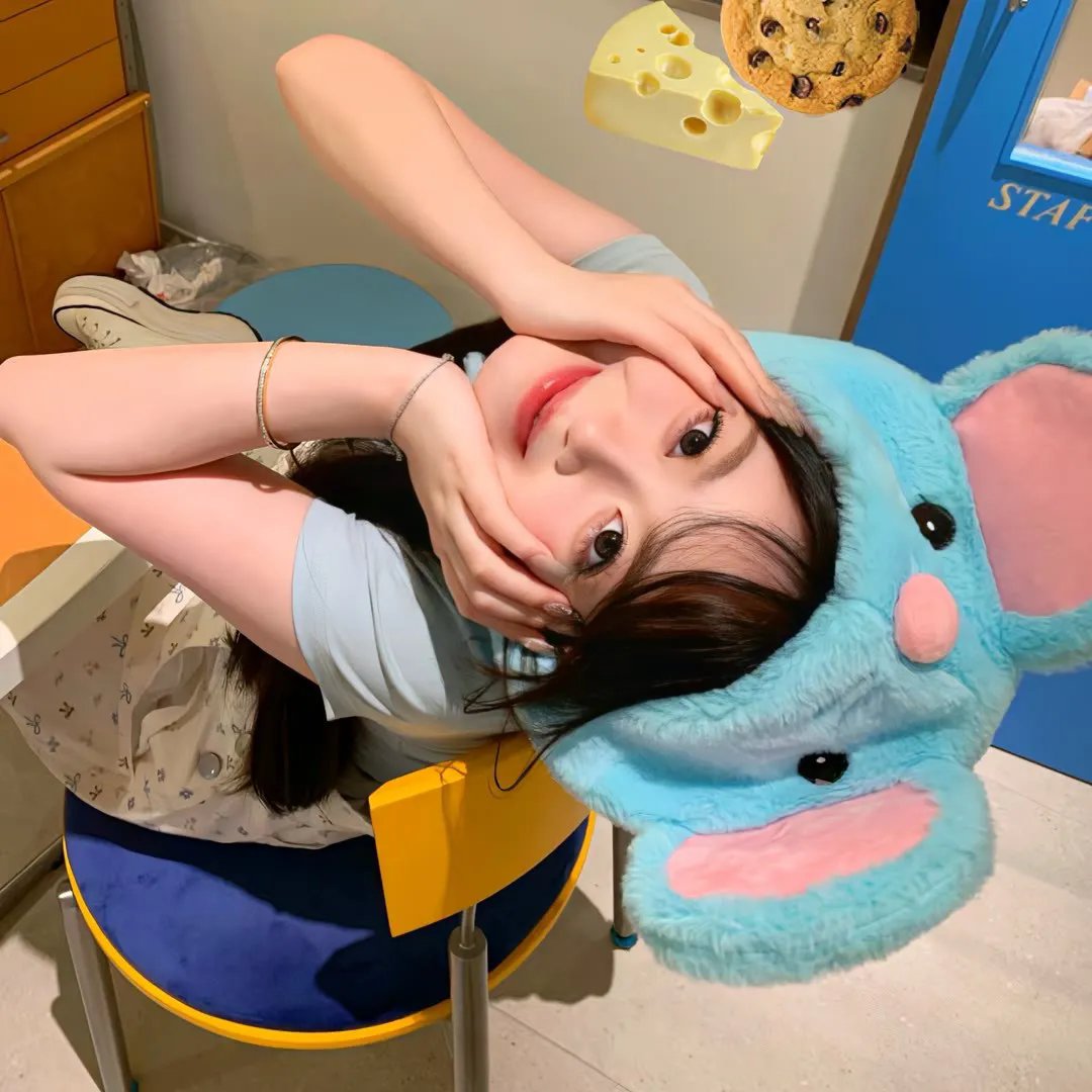 我的人生冒险